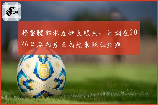 穆雷髋部术后恢复顺利，计划在2026年温网后正式结束职业生涯