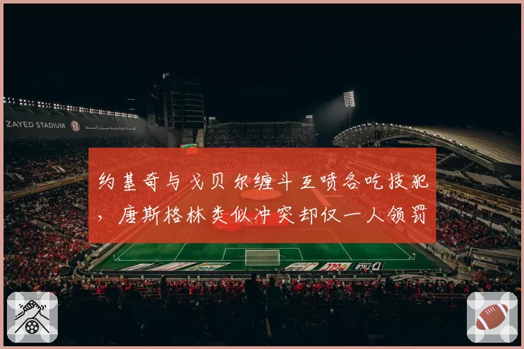 约基奇与戈贝尔缠斗互喷各吃技犯，唐斯格林类似冲突却仅一人领罚
