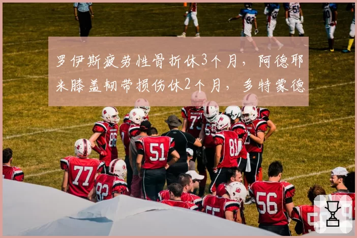 罗伊斯疲劳性骨折休3个月，阿德耶米膝盖韧带损伤休2个月，多特蒙德边锋谁先复出？
