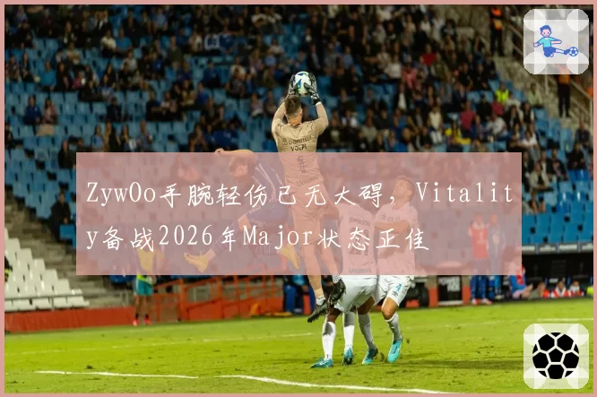 ZywOo手腕轻伤已无大碍，Vitality备战2026年Major状态正佳