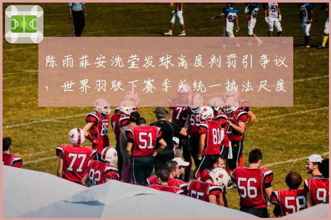陈雨菲安洗莹发球高度判罚引争议，世界羽联下赛季或统一执法尺度？