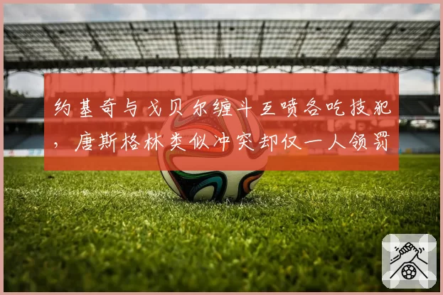 约基奇与戈贝尔缠斗互喷各吃技犯,唐斯格林类似冲突却仅一人领罚