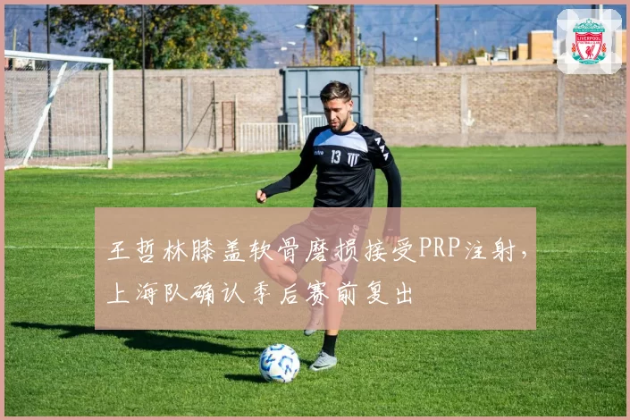 王哲林膝盖软骨磨损接受PRP注射，上海队确认季后赛前复出